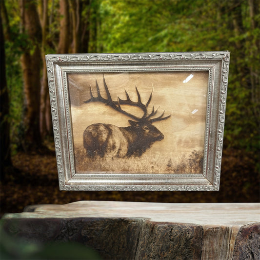 Elk